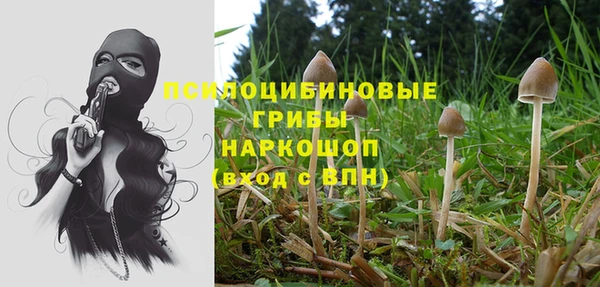 спайс Абдулино